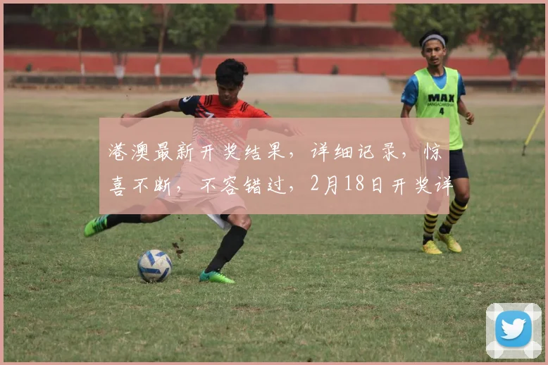 港澳最新开奖结果，详细记录，惊喜不断，不容错过，2月18日开奖详情大公开