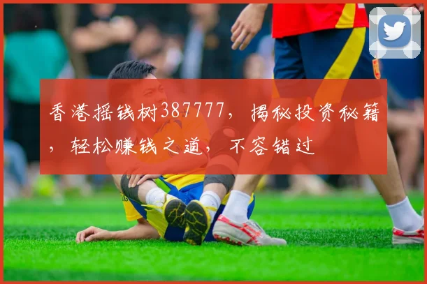 香港摇钱树387777，揭秘投资秘籍，轻松赚钱之道，不容错过