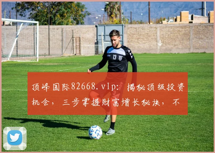 顶峰国际82668.vlp：揭秘顶级投资机会，三步掌握财富增长秘诀，不容错过